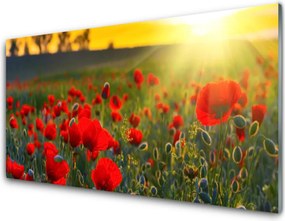 Dekor Szklany do Kuchni Pole Czerwonych Maków