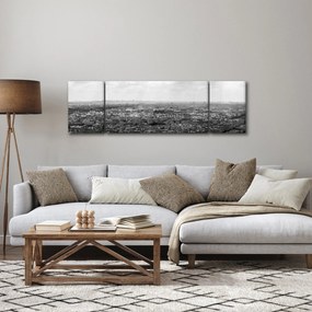 Obraz - Dachy domów w Paryżu (170x50 cm)