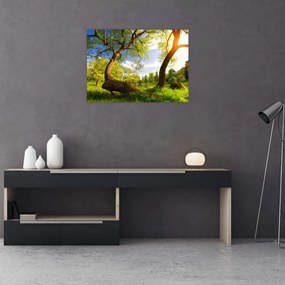 Obraz wiosennej łąki (70x50 cm)