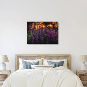 Obraz na szkle kwiatów łubinu (70x50 cm)