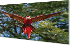 Panel szklany do Kuchni Majestatyczna Papuga Ara