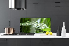 Panel Szklany do Kuchni Krople Rosy na Źdźbłach