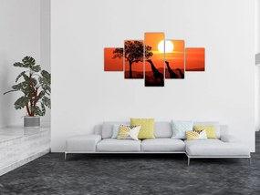 Obraz żyraf o zachodzie słońca (125x70 cm)