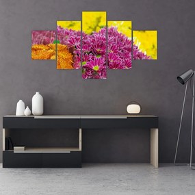 Obraz różowego kwiatu (125x70 cm)