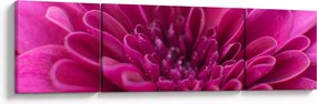 Obraz kwiatu (170x50 cm)
