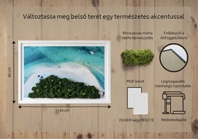 Obraz z mchu Lazurowa plaża