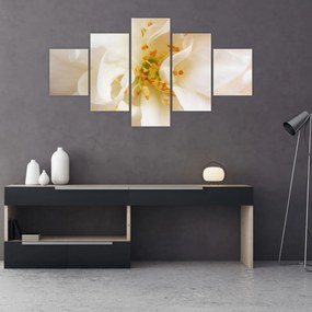 Obraz - Kwiat (125x70 cm)