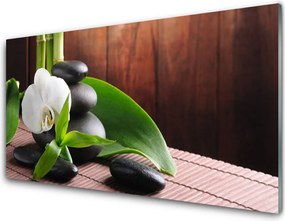 Panel Kuchenny Kwiat Storczyka W Klimacie Spa