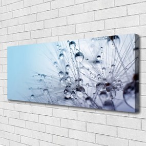 Obraz canvas na ścianę Puszysta Kula Mniszka