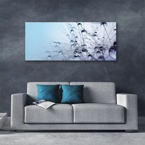 Obraz canvas na ścianę Puszysta Kula Mniszka