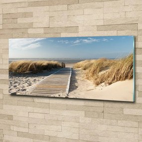 Foto obraz szklany Ścieżka na plaży