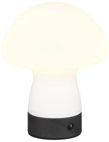 Lampa stołowa LED w matowym białym kolorze ze szklanym kloszem (wysokość 18 cm) Dooley – Trio