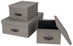 Pojemniki z pokrywką zestaw 3 szt. Inge – Bigso Box of Sweden