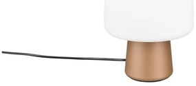 Biało-brązowa lampa stołowa ze szklanym kloszem (wysokość 27 cm) Steen – Trio