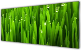 Panel Kuchenny Naturalne Źdźbła Trawy