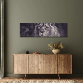 Obraz lwa (170x50 cm)