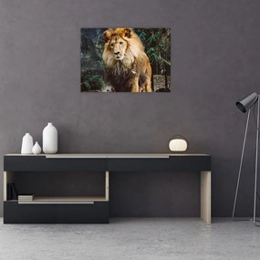 Obraz lwa w naturze (70x50 cm)