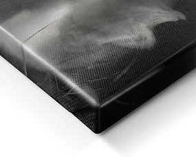 Obraz 70x100 cm Smoke – Styler