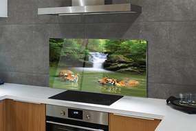 Szklany Panel Tygrysy przy Wodospadzie