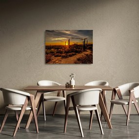 Obraz na szkle - Koniec dnia na pustyni w Arizonie (70x50 cm)