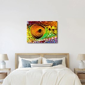 Obraz - Kameleon (70x50 cm)