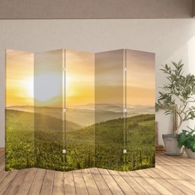 Parawan - Panorama (210x170 cm)