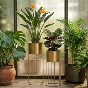 Złote stojaki na kwiaty glamour OSMOS, 2 osłonki