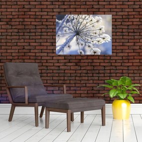 Obraz - Zamarznięty kwiat (70x50 cm)