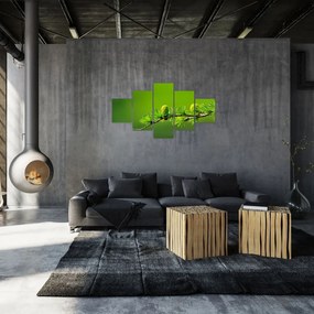 Obraz zielonej szyszki (125x70 cm)