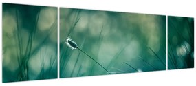 Obraz - Szczegół trawy (170x50 cm)
