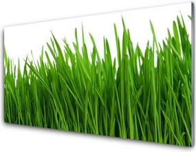 Panel Kuchenny Poranna Rosa na Trawie