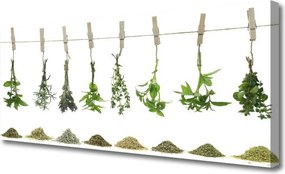 Obraz canvas Świeżość Kwiatów Ogrodowych