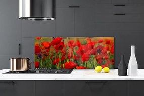 Szkło do Kuchni na Ścianę Maki w Letnim Słońcu