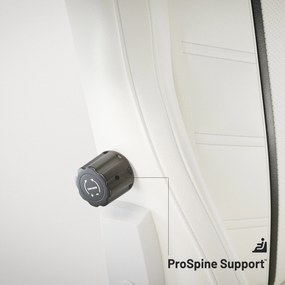 Fotel gamingowy Diablo X-Ray 2.0 King Size, biało-czarny