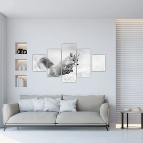 Obraz - Skaczący lis, czarno - biały (125x70 cm)