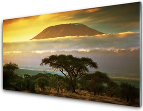 Panel Kuchenny Drzewo Na Górskim Szczycie