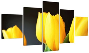 Obraz tulipanów (125x70 cm)
