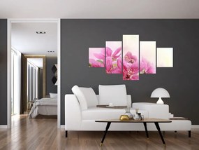 Obraz - Różowe kwiaty (125x70 cm)
