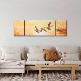 Obraz - Żurawie o zachodzie słońca (170x50 cm)