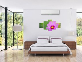 Obraz - polny kwiat (125x70 cm)