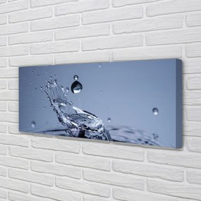Duży obraz na płótnie Pojedyncza Kropla Rosy