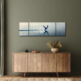 Obraz - Nury (170x50 cm)