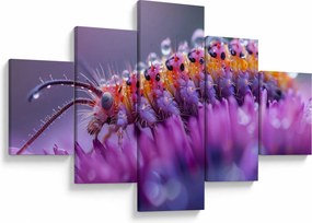 Obraz - Caterpillar (125x70 cm)