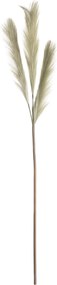 Trawa pampasowa 110cm green
