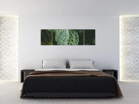 Obraz - krople na liściu (170x50 cm)