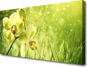 Obraz canvas Świeżość Zielonych Źdźbeł