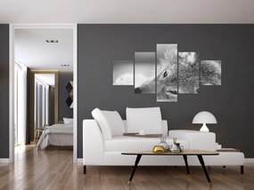 Obraz - Wilk, czarno - biały (125x70 cm)