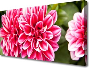 Obraz canvas Wyrafinowana Flora Ścienna