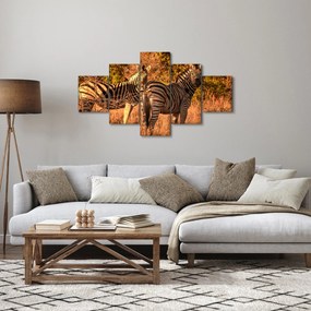 Obraz zebr (125x70 cm)