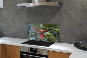 Panel szklany do Kuchni Majestatyczna Papuga Ara